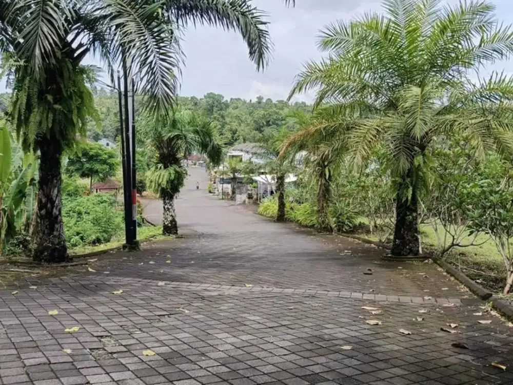 Tanah Strategis 5,2 Are di Kawasan Elit Dijual, di Tabanan Kota Area