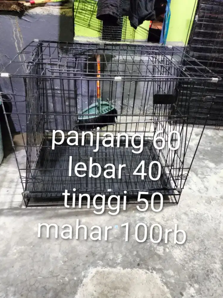 Kandang kucing bekas