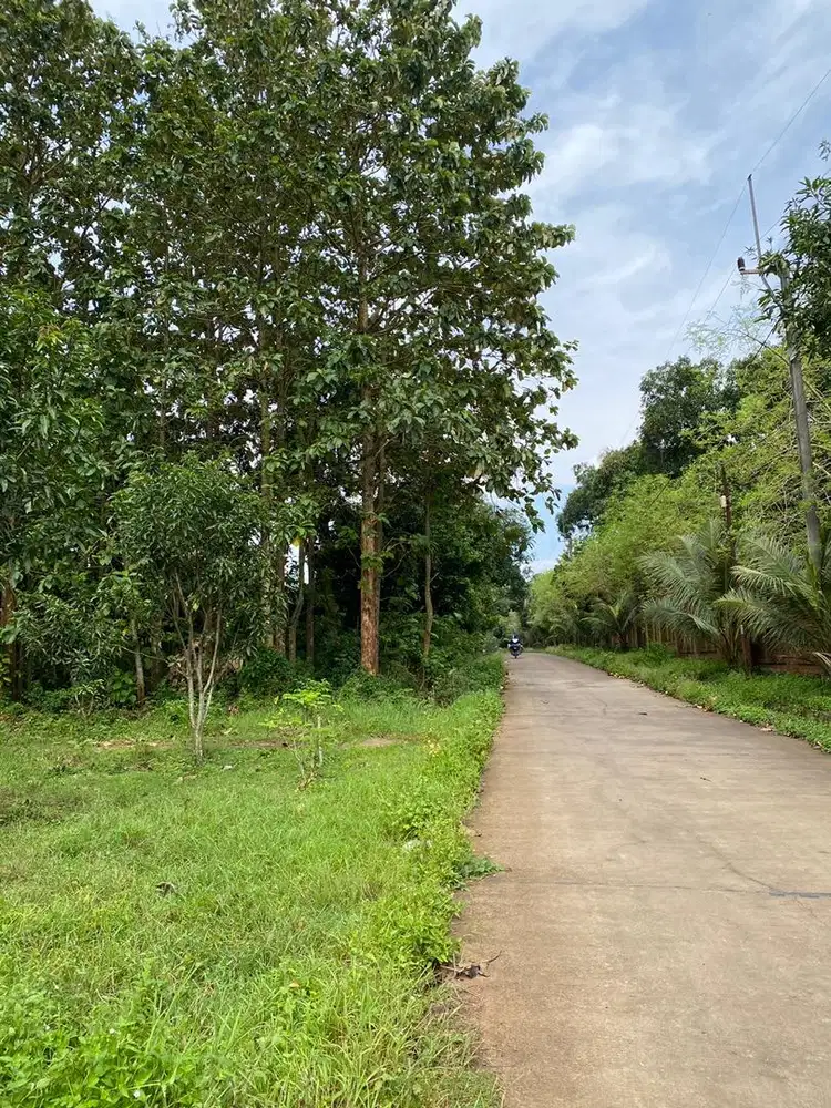 Tanah / Karangan Lokasi strategis