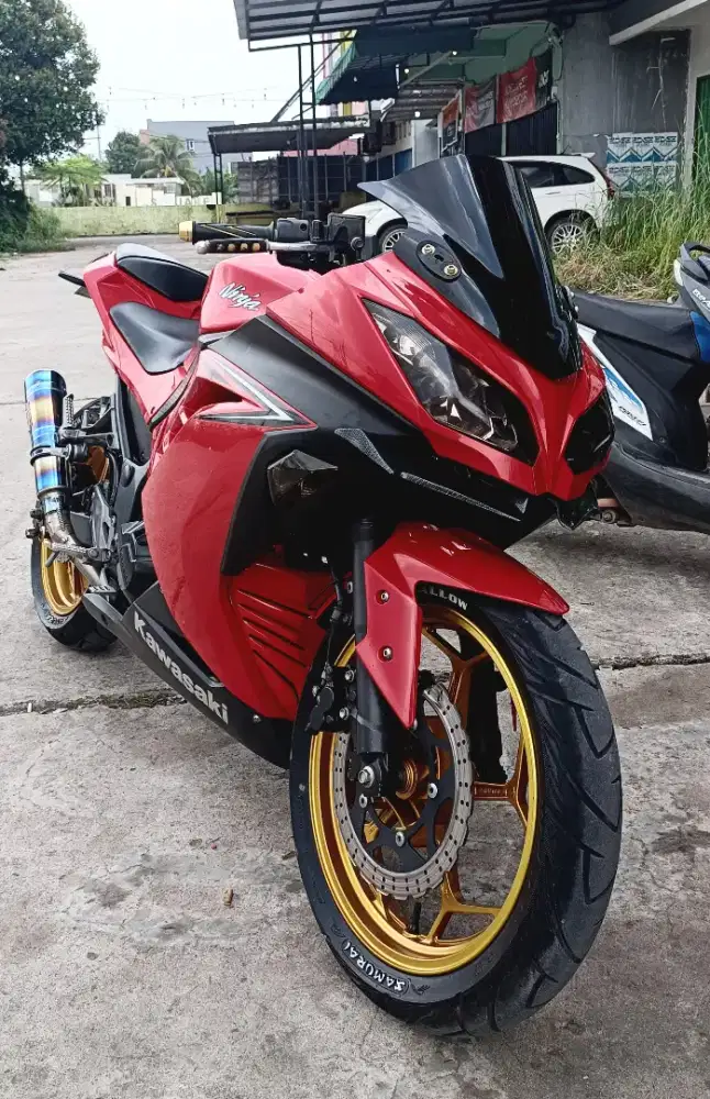 Kawasaki Ninja 250cc fi old