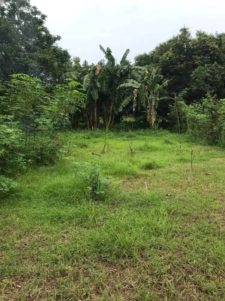 DI JUAL MURAH TANAH INDISTRI DI JENU TUBAN