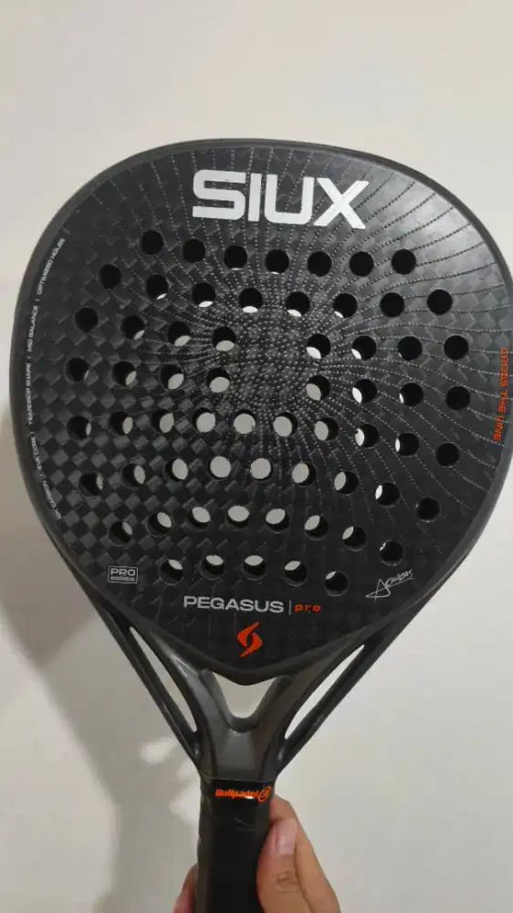Siux Pegasus Pro 2026