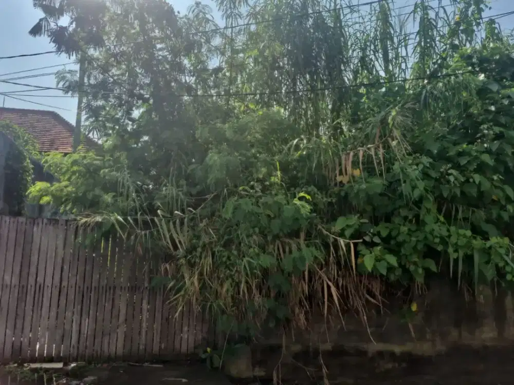 Land for sale at Jalan Dewi Saraswati, strategic location