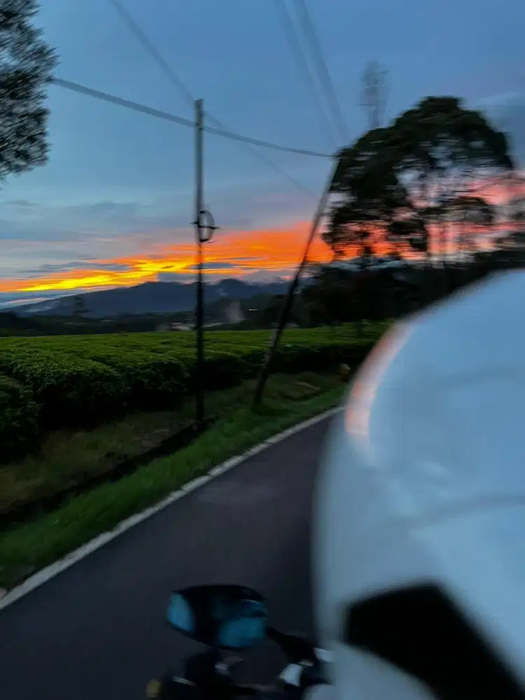 Loker packing butuh cepat