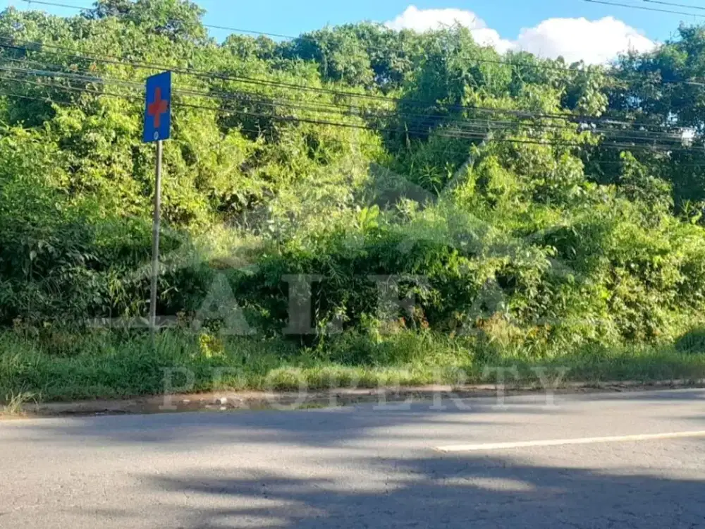 Sewa Tanah SHM Harga Murah Siap Bangun Cafe Tempat Wisata Kuliner