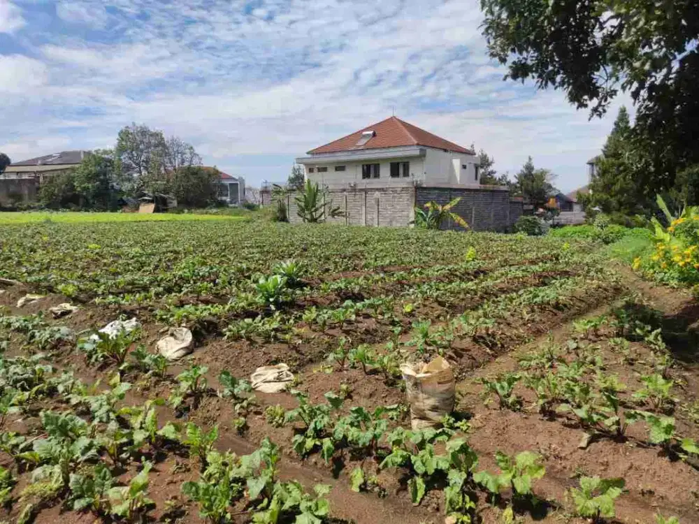 termurah! tanah kavling di bawah njop komplek elit setiabudi regency bandung