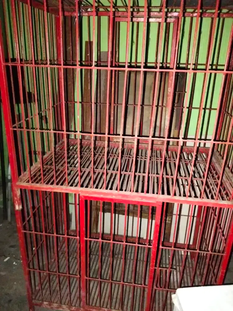 kandang hewan peliharaan kucing/anjing