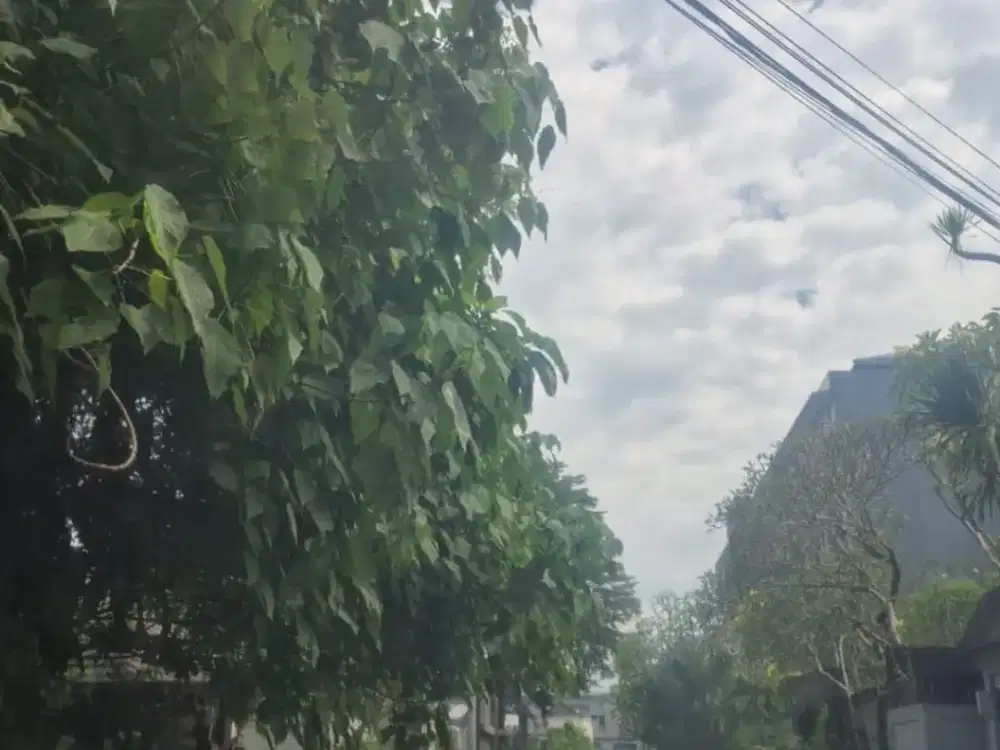 Dijual Tanah 10 are di Jalan Dewi Saraswati