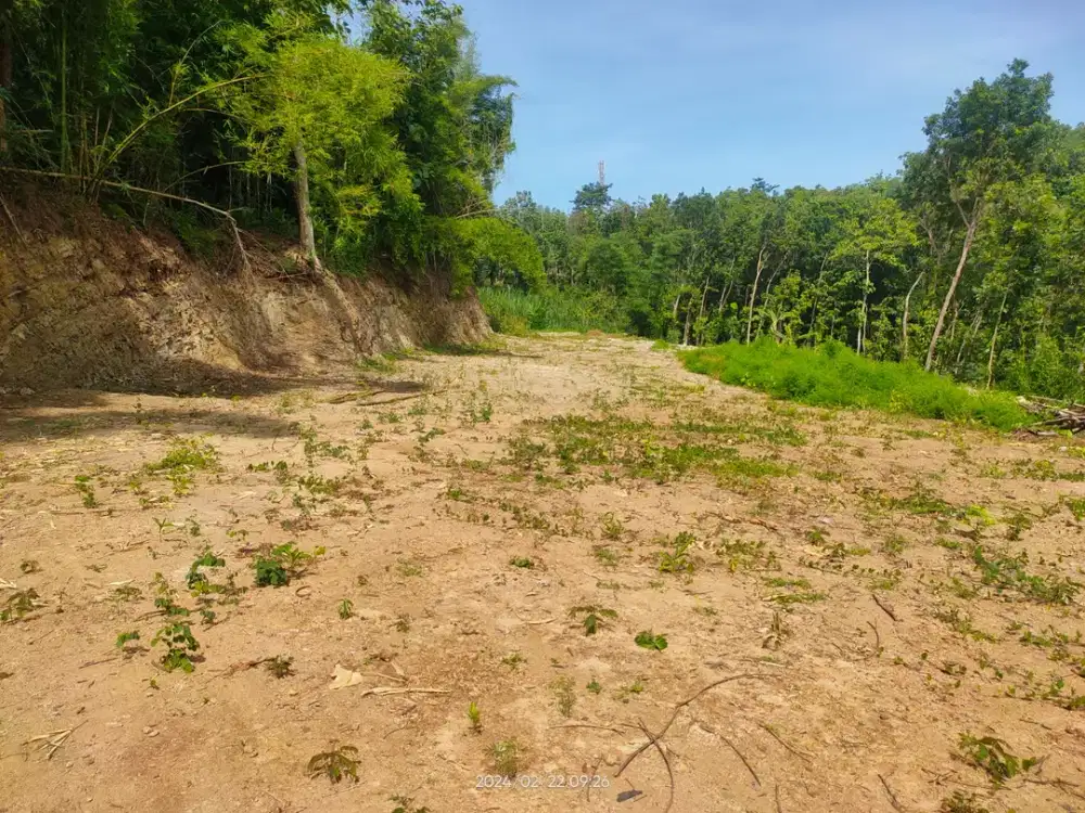 Tanah SHM Bantul Dekat Pasar Pleret 10 Menit Terminal Giwangan