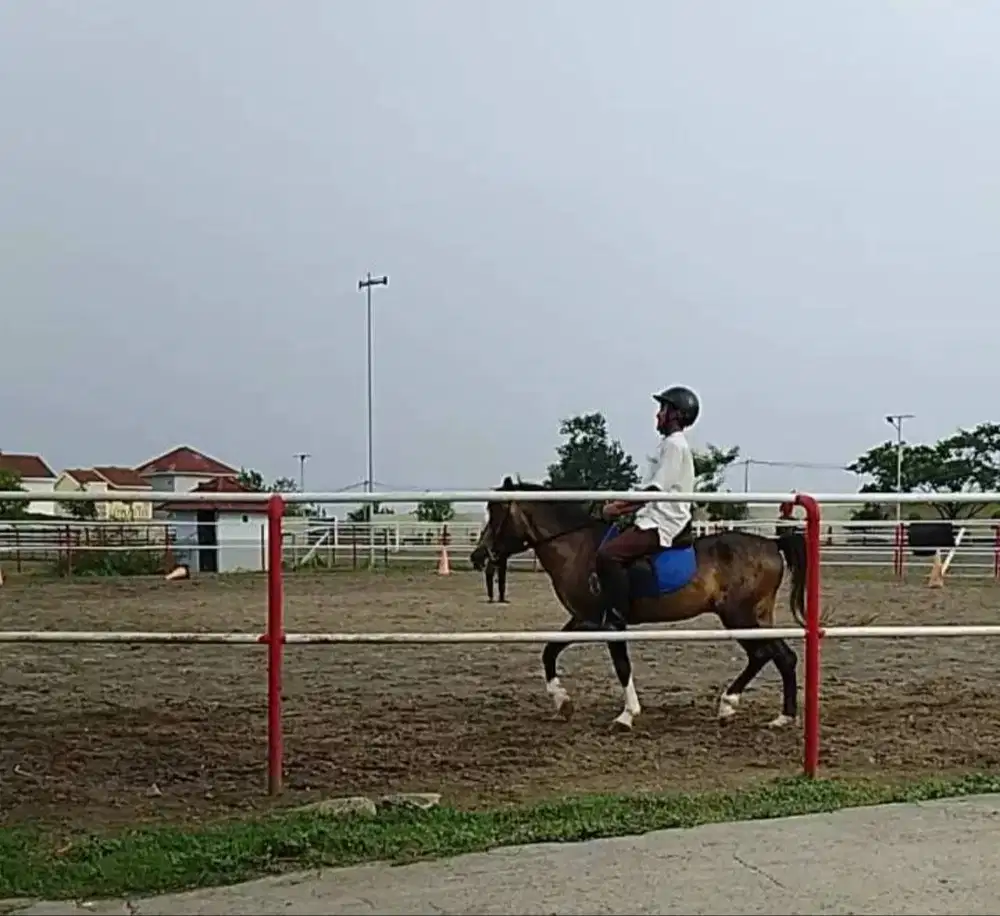 Tanah 4000m2 dijual di lingkungan pondok temboro