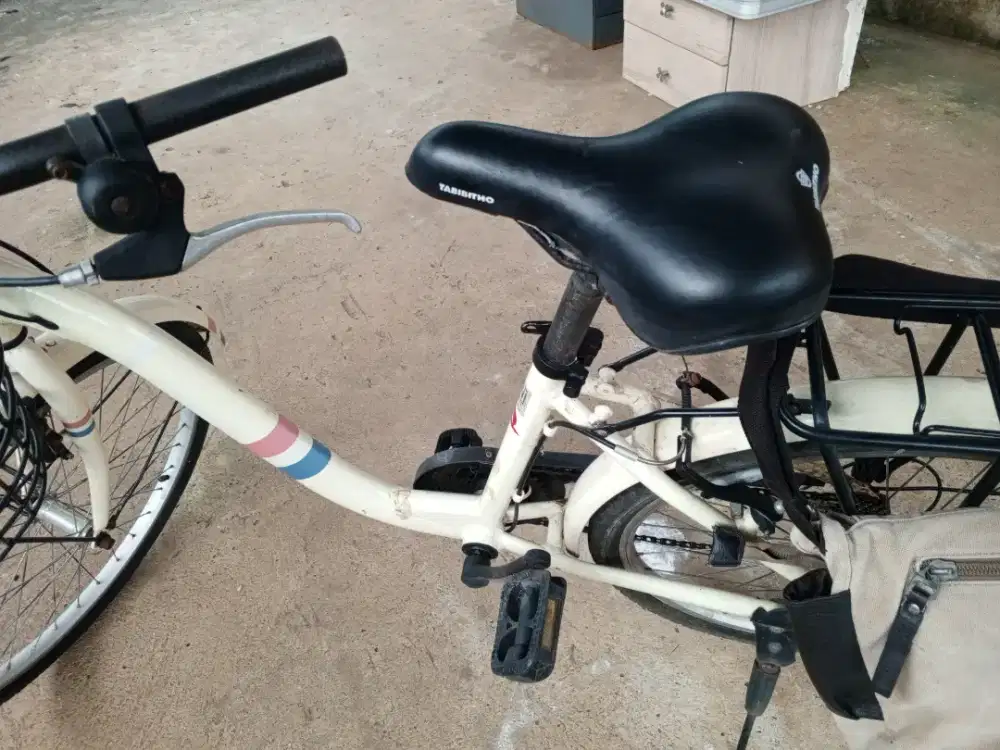 Sepeda keranjang depan merek tabibitho