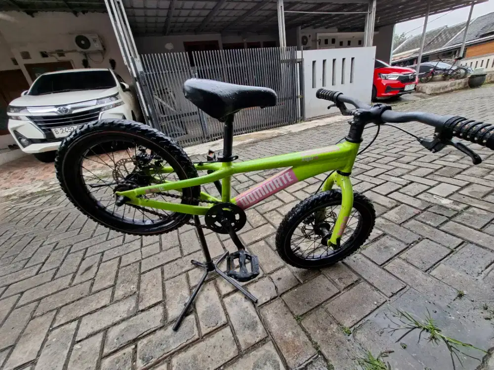 Sepeda Anak Dominate Junior A-One 16 Inch