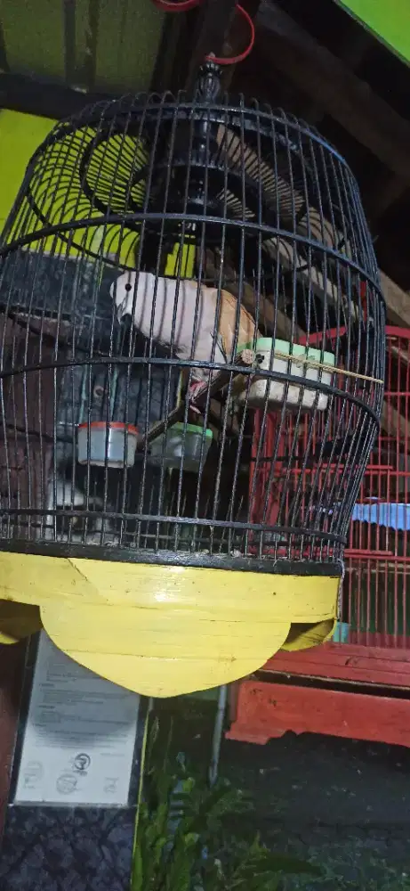 puter pelung kres iraq