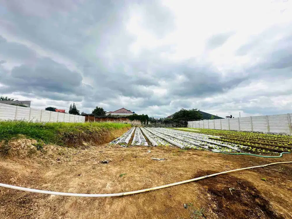 termurah! tanah kavling setiabudi regency bandung utara