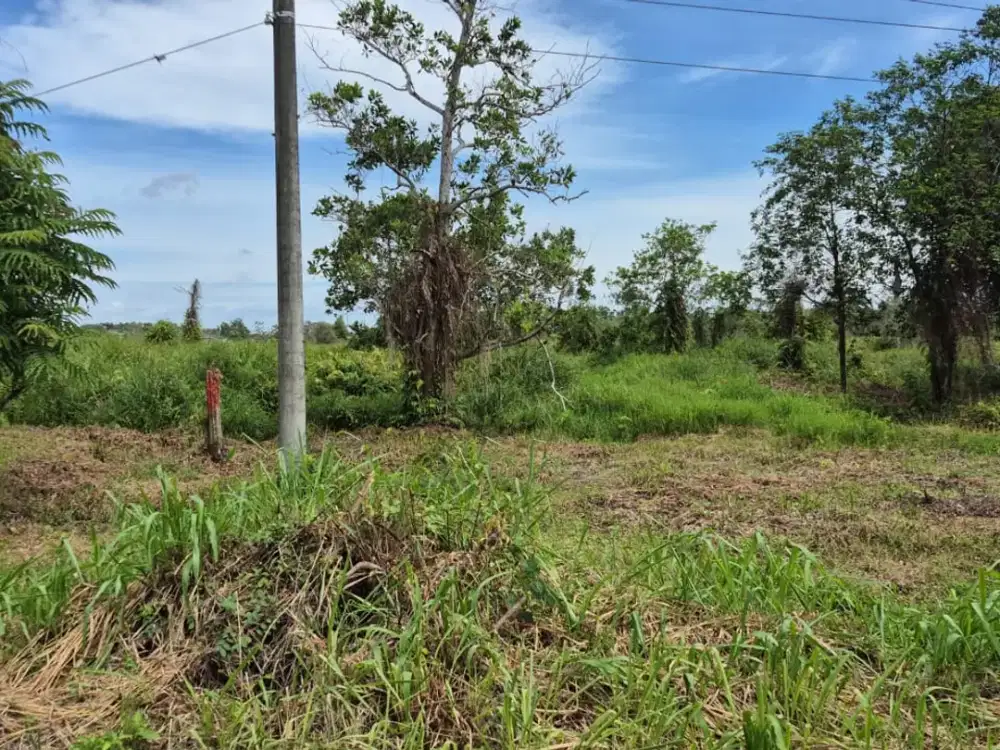 Dijual Lahan Strategis Dekat Pintu Tol Palindra Jl.Lingkar Selatan Jakabaring Palembang