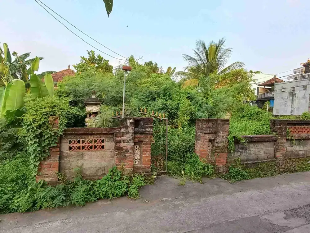 Tanah 1,5 Are Panji Sukasada Buleleng Blkg Ktr Samsat