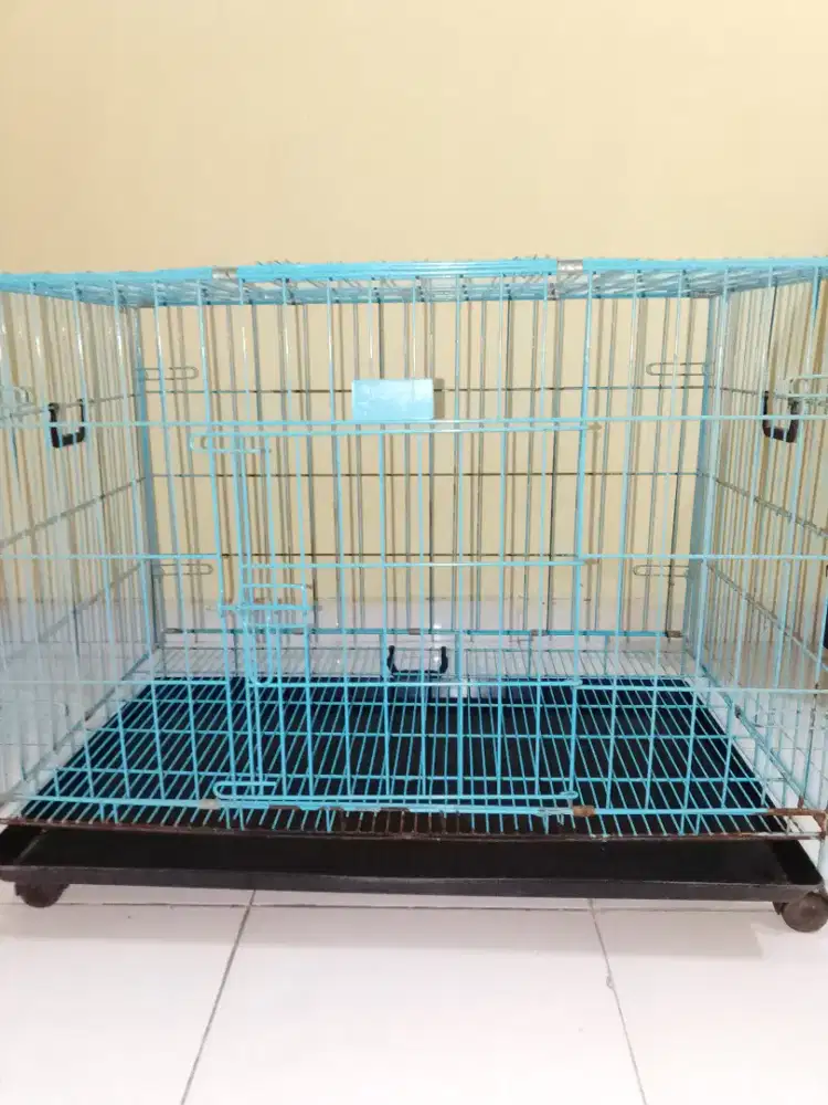 Kandang anjing Dan kucing