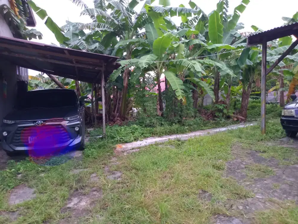 Di Jual Tanah Setrategis di Jl. Senayan Kr.Rejo Bpp