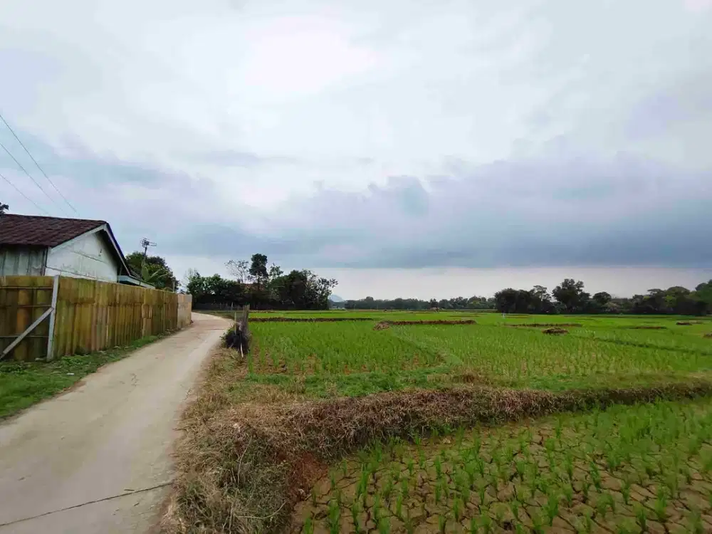 tanah 170 rb/meter bojong mangu cikarang