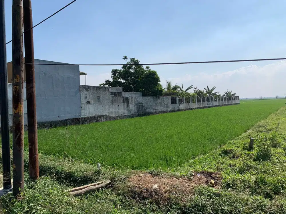LAHAN KOMERSIAL DI RANCAEKEK MAJALAYA BANDUNG