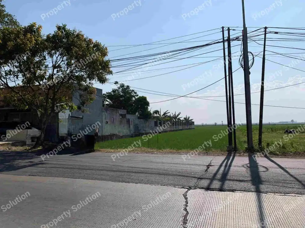 LAHAN SAWAH RANCAEKEK DEKAT PINTU TOL KOMERSIAL