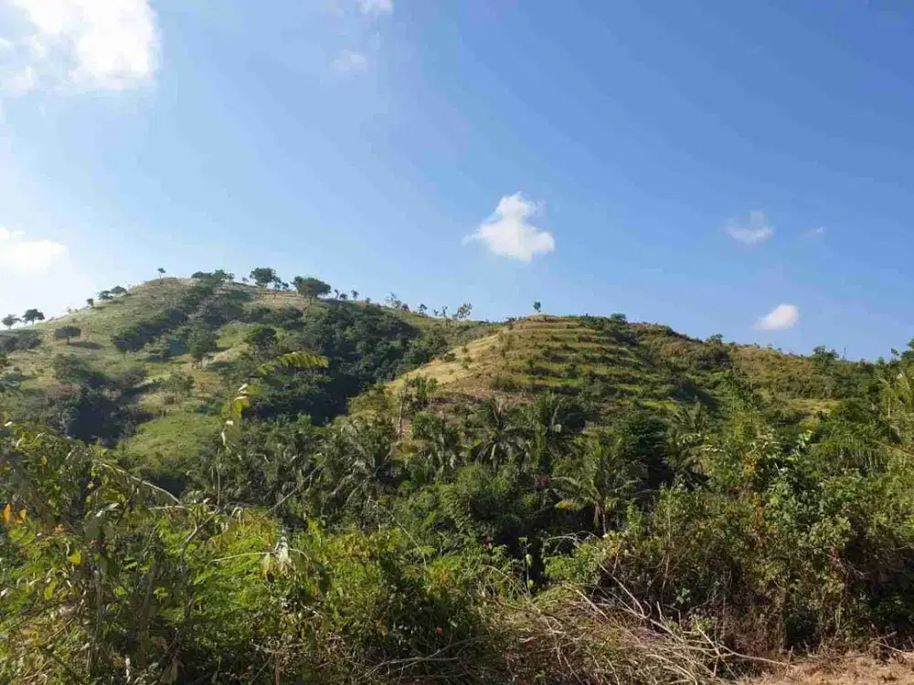 Stunning Terraced Hills