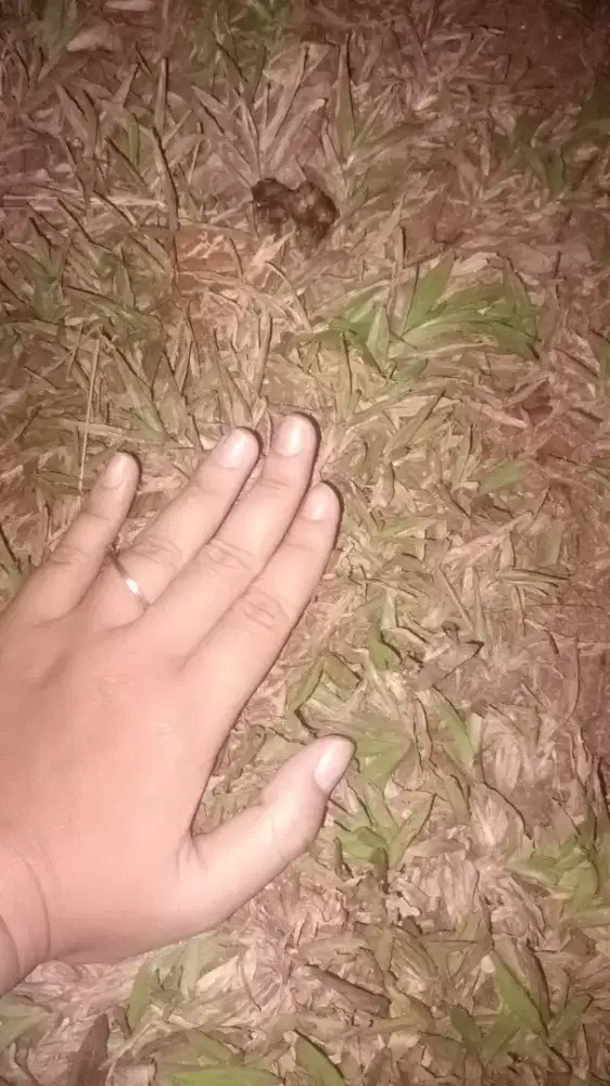 Mencari lowongan kerja