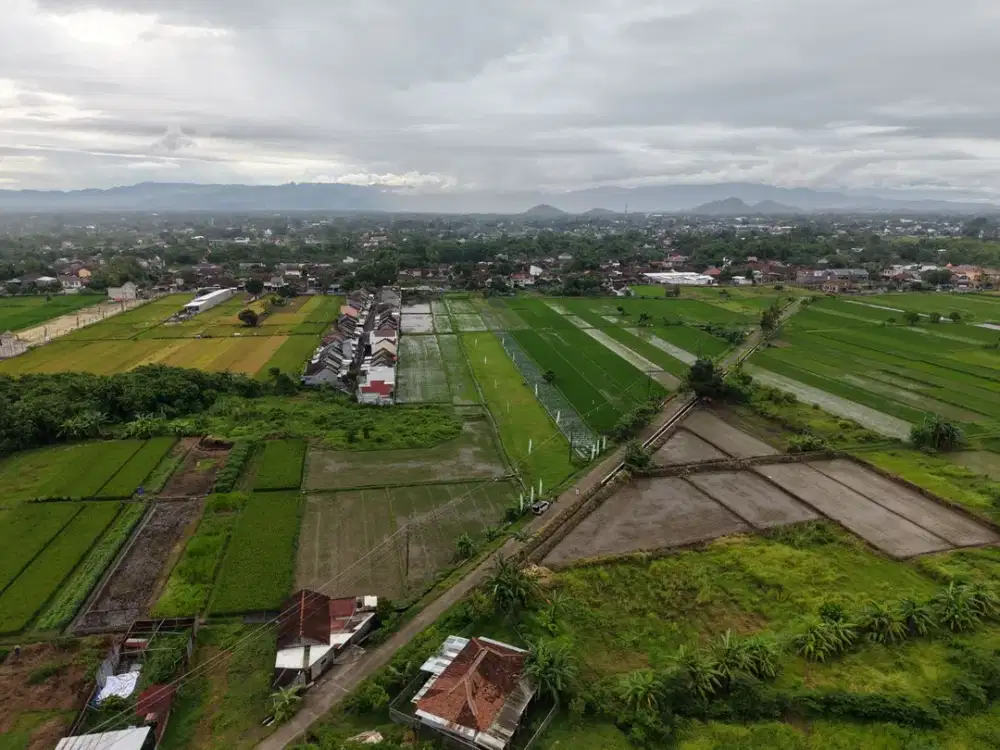 Tanah Jogja SHM Strategis dekat Kampus UMY, UNU, UNISA, UNJAYA