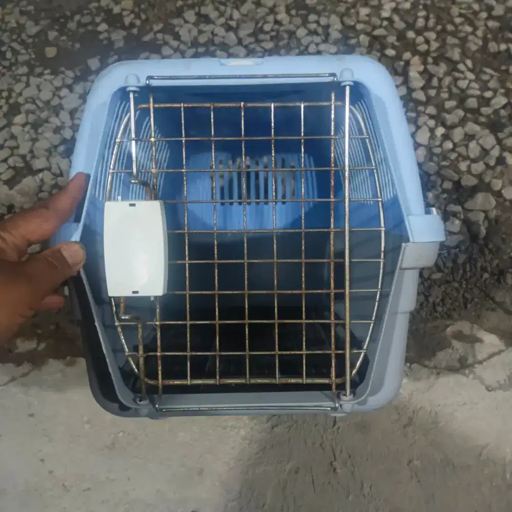 Pet Kargo Ventilasi/Jendela untuk kepala,