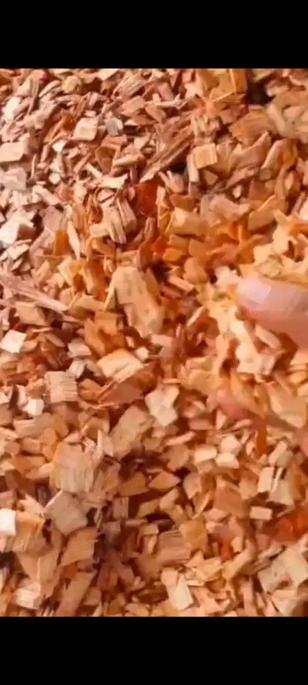 Woodchip akasia