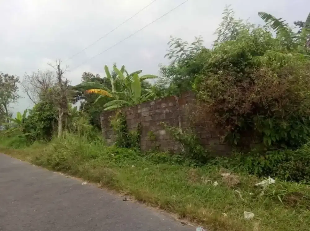 Dijual Tanah Cocok Untuk Rumah Dan Cage