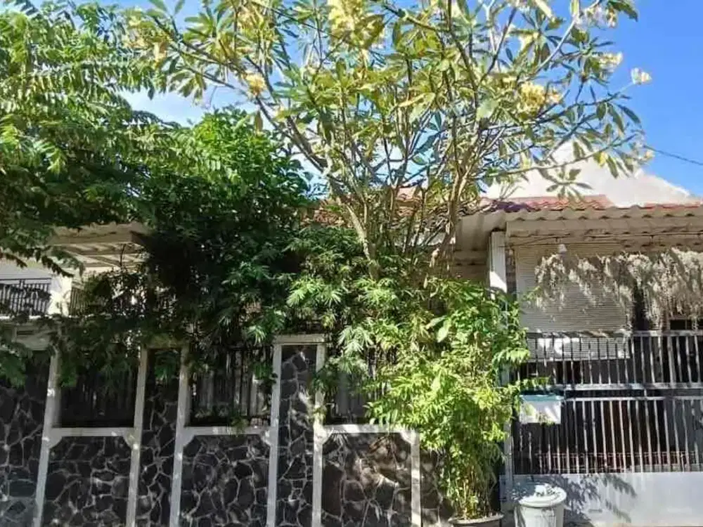 Rumah 1 Lantai Rapi Siap Huni Semi Furnished di Nusa Loka BSD