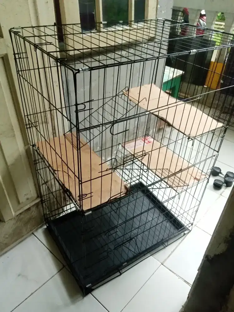 Kandang kucing tingkat