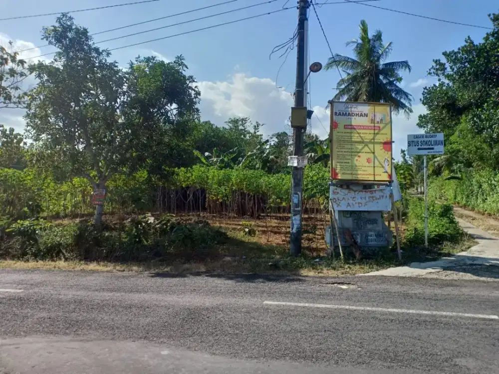 di jual cepat tanah pekarangan pinggir jalan aspal