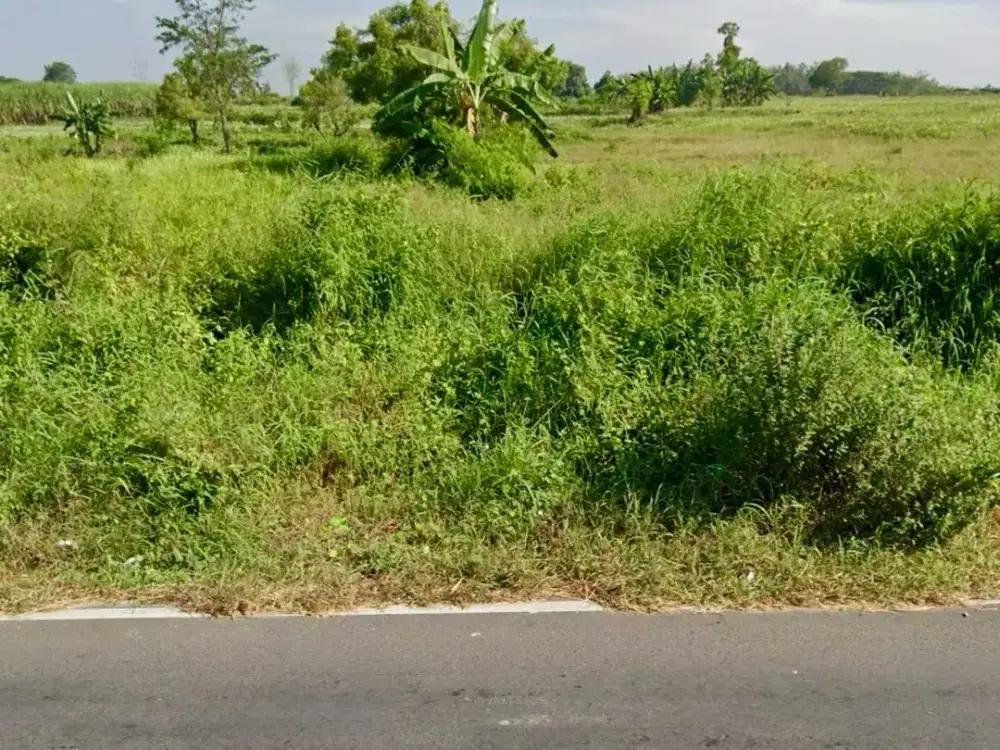 Raya Mantup Mojodari Lopang Kec Kembangbahu Lamongan