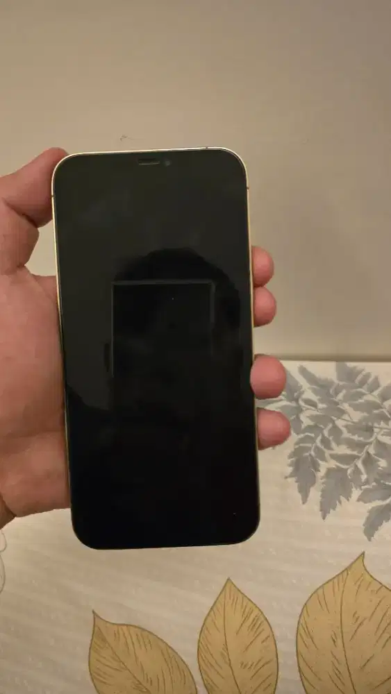 Jual Iphone 12 Pro Max Ibox