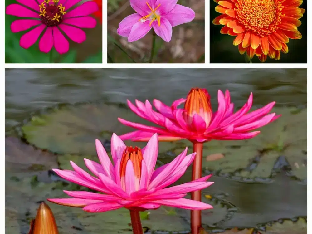 JUAL CEPAT, RUMAH HOEK 3 LANTAI, LT 140 M2, NUANSA BALI, CINERE ESTATE, DEPOK