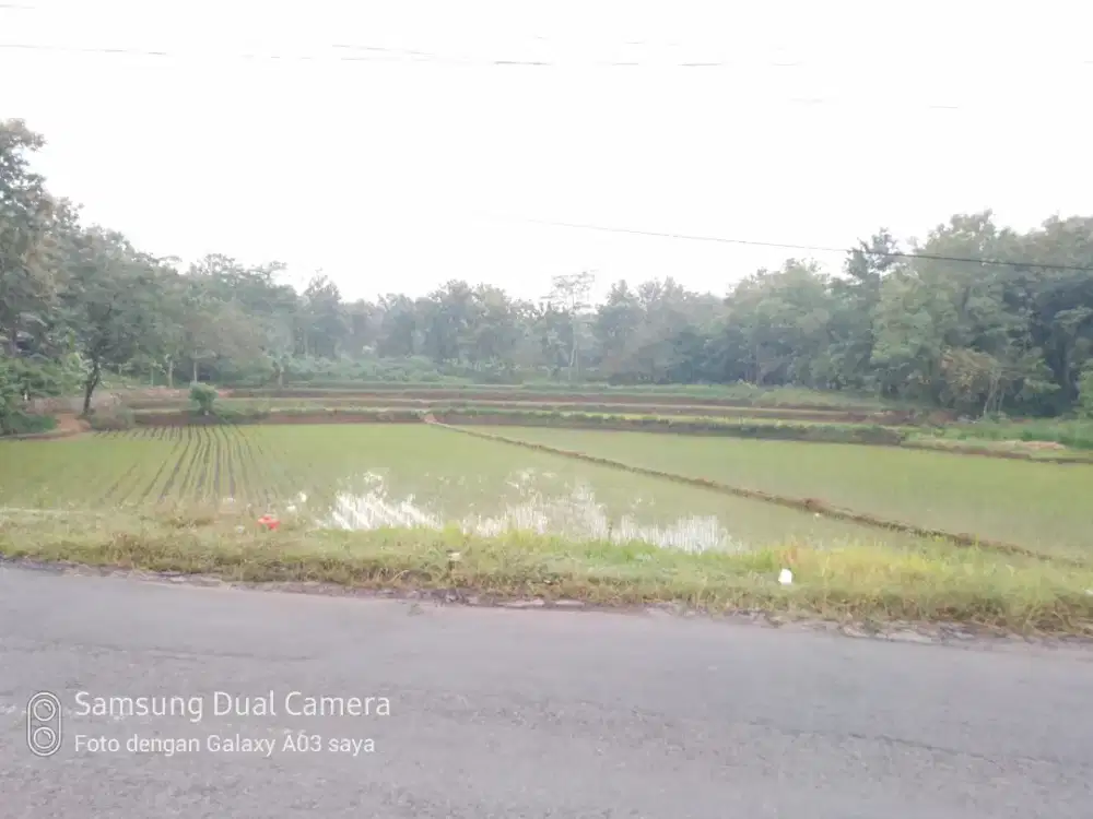 Di Jual Tanah Pinggir jalan