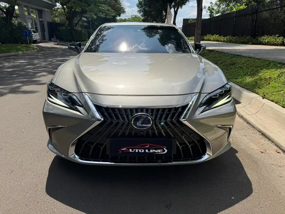 lexus es300 hybrid es 300 es300h 2022 reg 2025 km 14.000 antik!tgn 1!