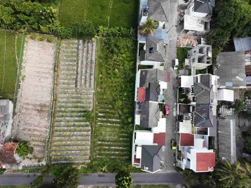 TANAH BAGUS JOGJA SHM PEKARANGAN JL.KALIURANG DAN JL.PALAGAN NGALANGAN SARDONOHARJO NGAGLIK SLEMAN