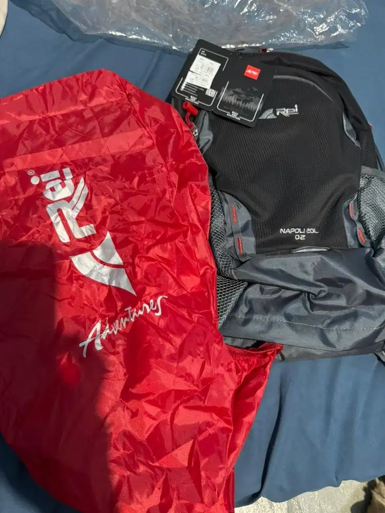 Original Arei daypack 20L grey