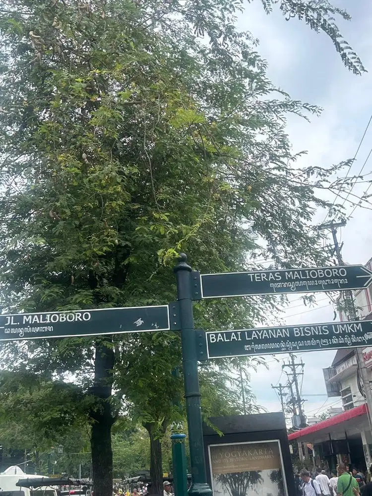 Di cari tukang setrika uap