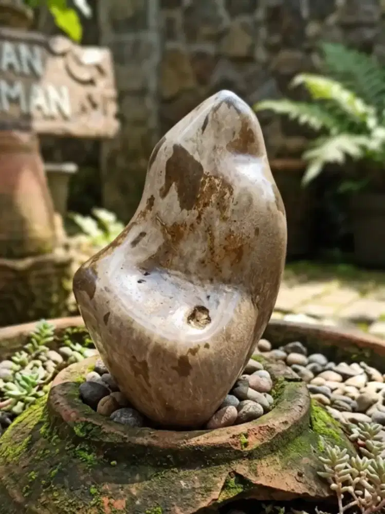 Pajangan Fosil Kayu Kelor Cakep