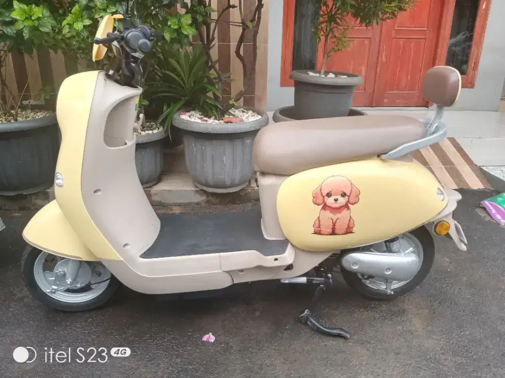 Sepeda listrik goda 166