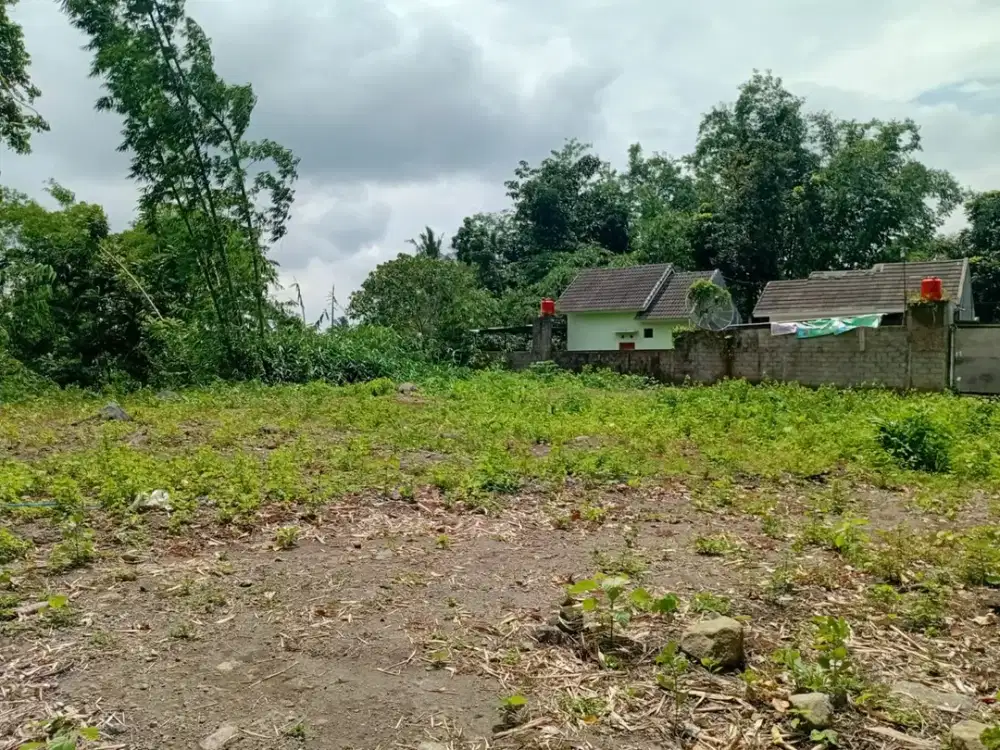 11 Menit Dari Sleman City Hall Tanah Potensial di Triharjo Sleman Harga 1,9 Jt/m2