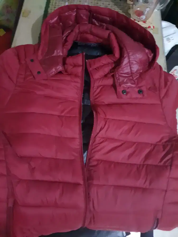 Jaket import musim dingin