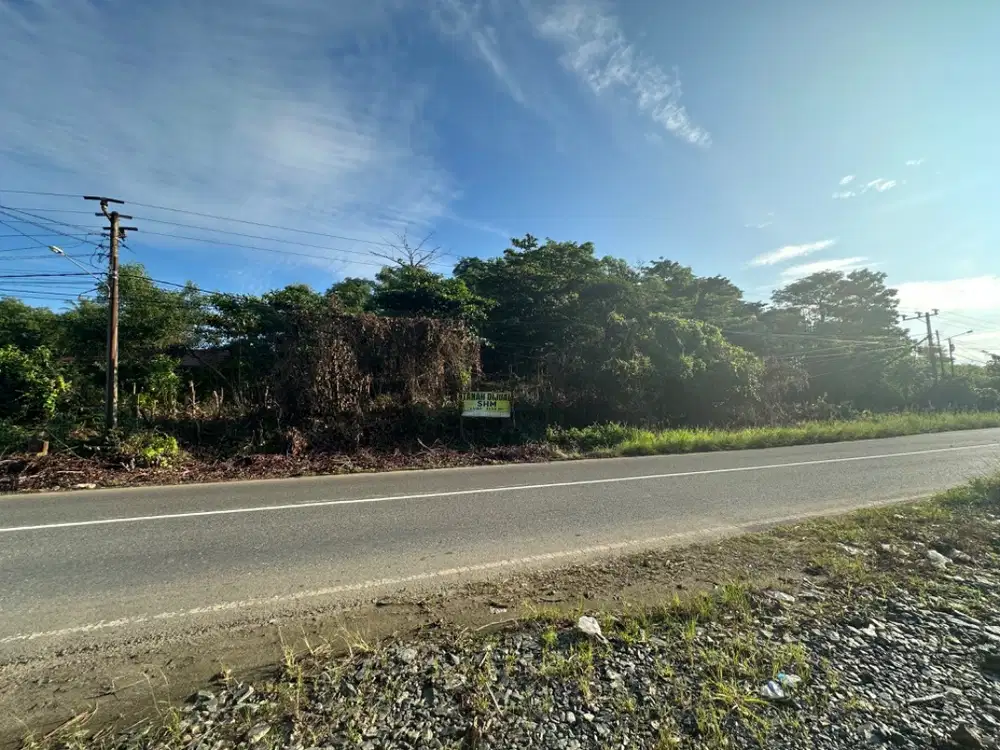 Dijual cepat tanah murah strategis samping jalan raya utama. Nego tipi