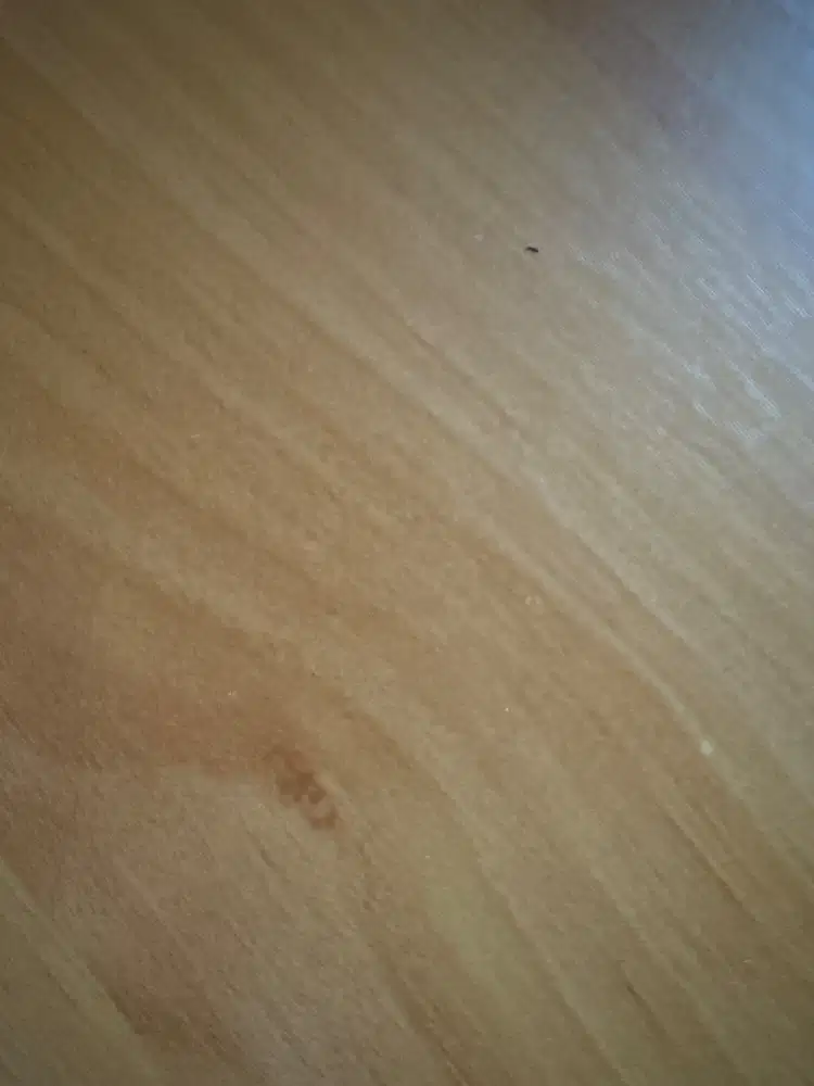 DICARI ART BISA MASAK