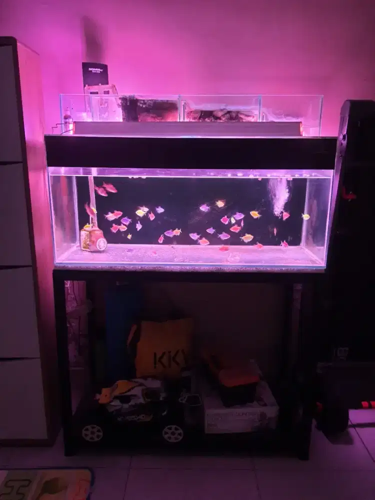 Jual Aquarium Plus Rak Meja 100x40x50cm