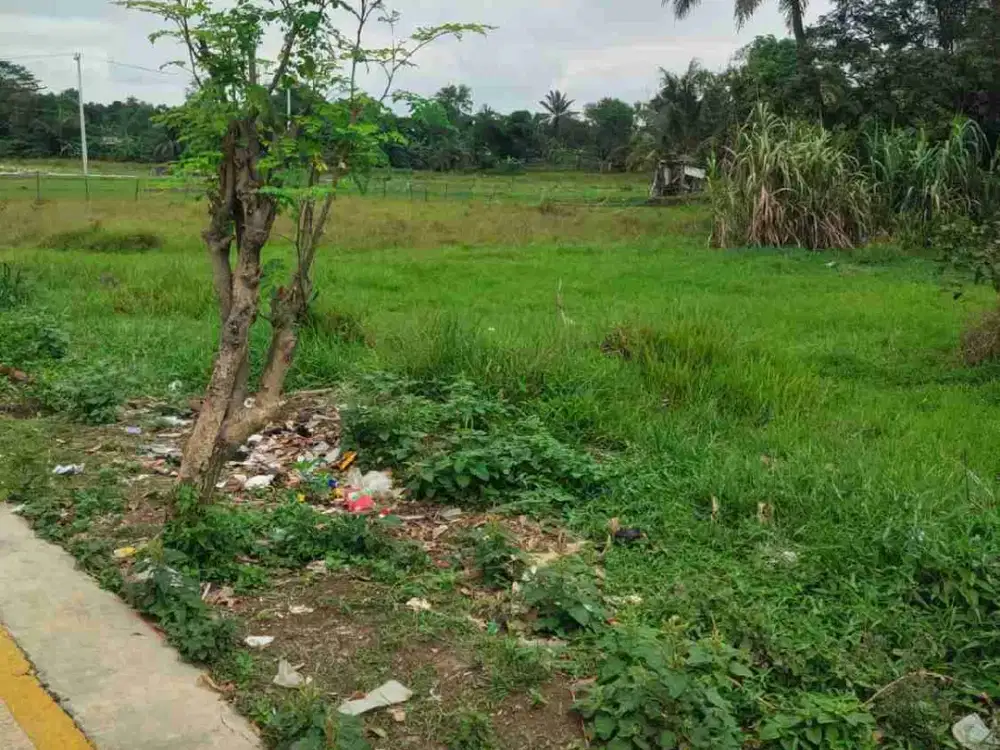 Diju Tanah darat di cileungsi